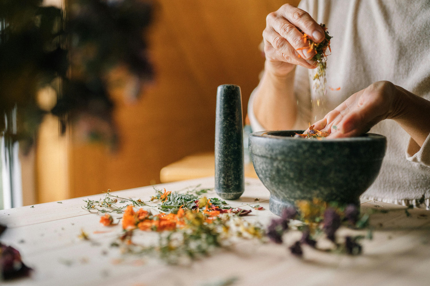 Gut Health Supplements | Balance Digestion &amp; Boost Immunity
